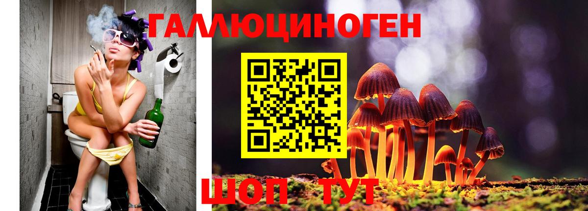 Галлюциногенные грибы мицелий  Галлюциногенные грибы Psilocybine cubensis  купить наркотики сайты  Норильск  Вход с VPN 